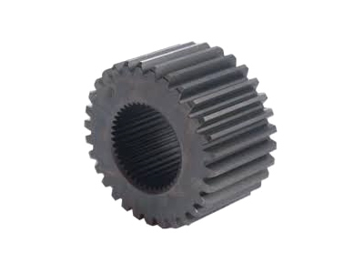 42064799 - CER AKS DİŞLİSİ